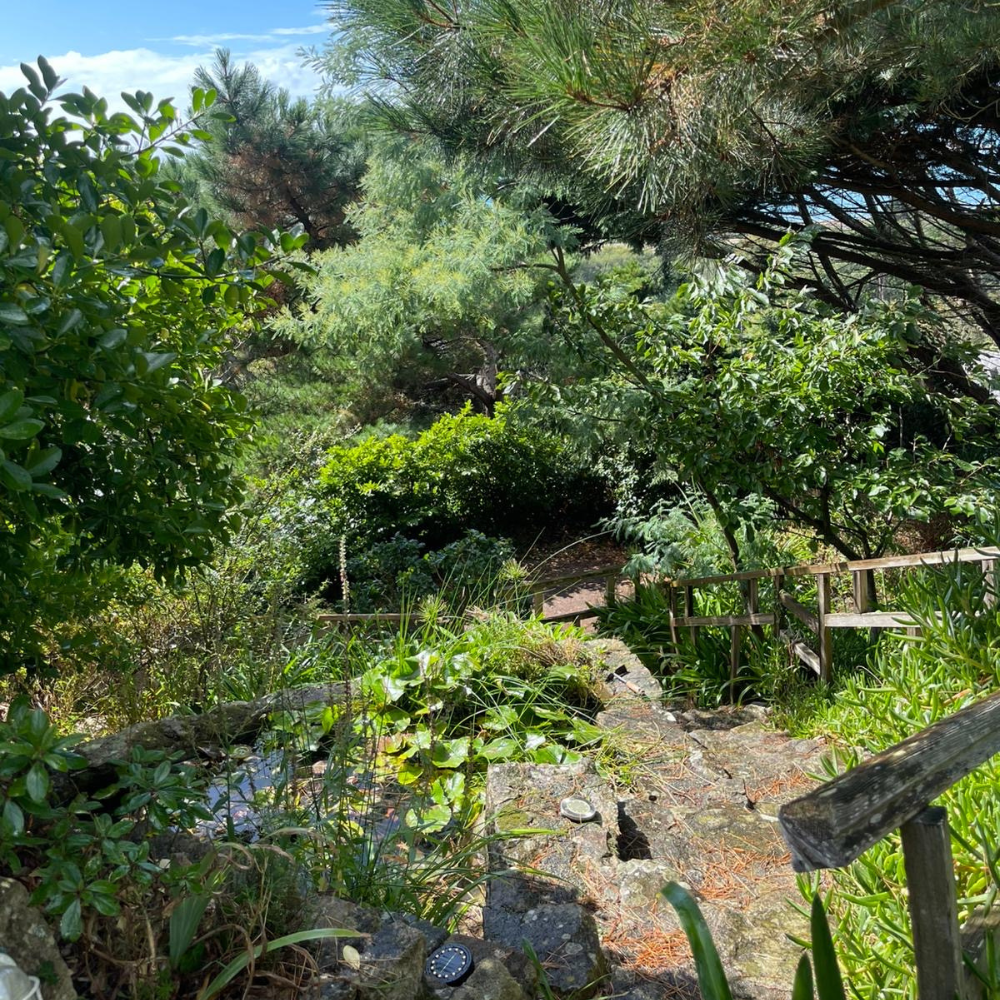 Photo Du jardin1location-cotedegranitrosefr